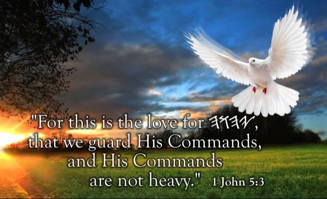 The love for YHWH that we guard His Commands -1 YaHuWCxaNaN 5-3