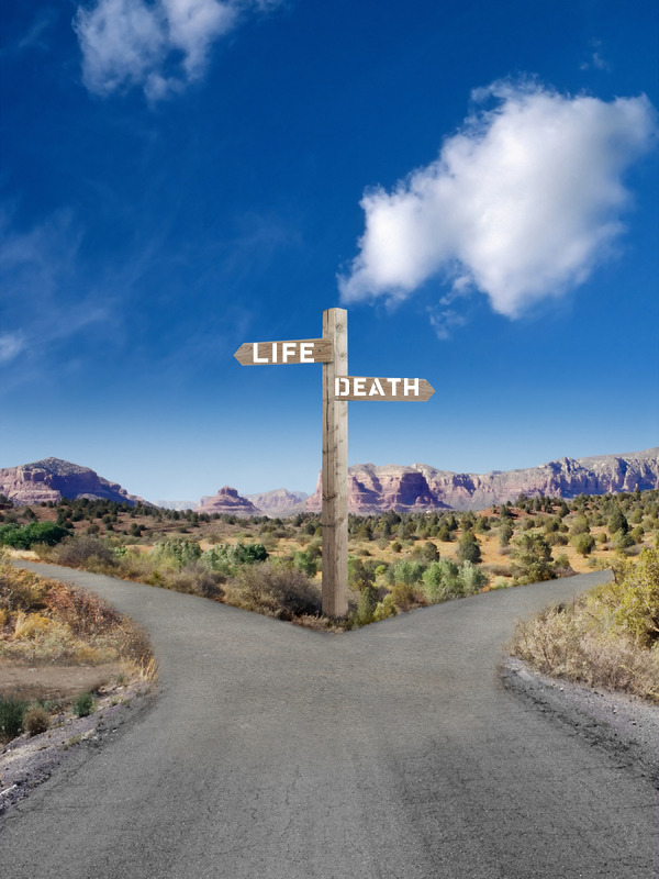 life-death-fork-in-the-road