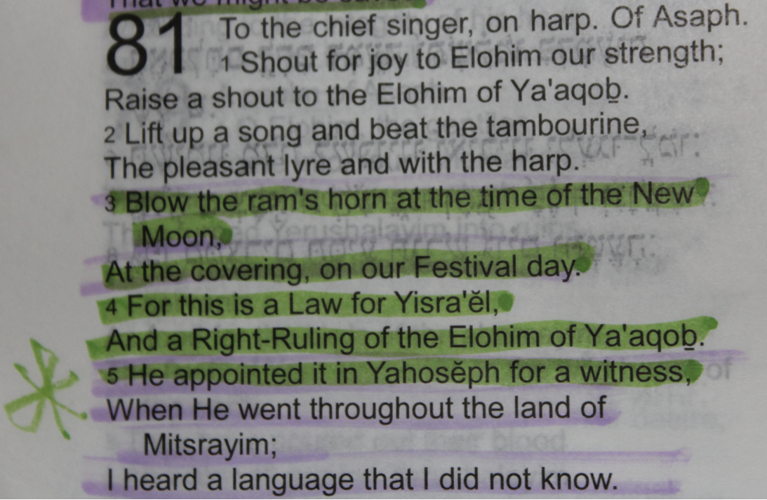 calendar Messiah Y'shua kept