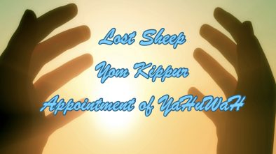 lost sheep Yom Kippur